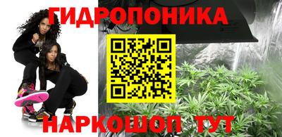 ешки Сланцы