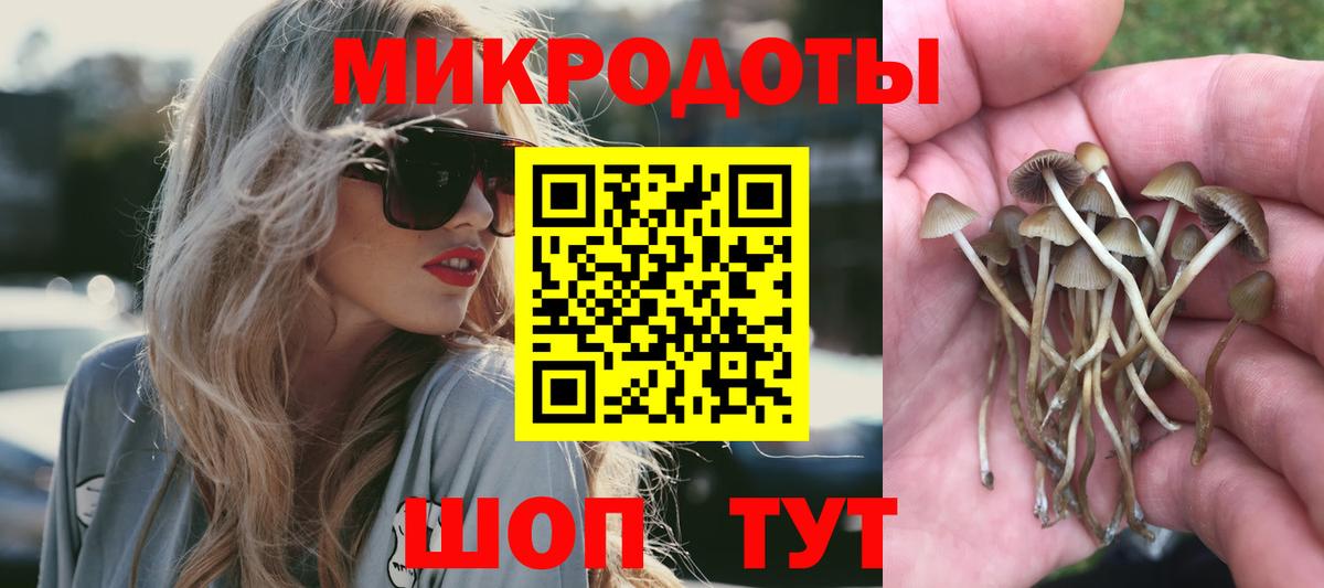 Галлюциногенные грибы ЛСД Ростов Великий